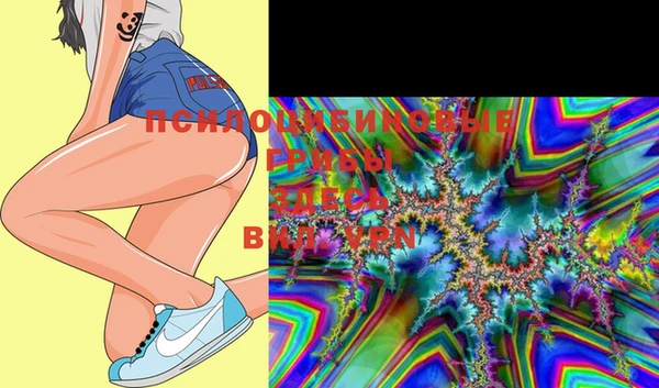 мяу мяу мука Магас